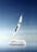 Woodpecker - Endo 3 - Ultrasonic Endo Activation - Oral Science