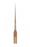 Woodpecker E71 Polymer Tip - Oral Science
